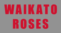 Waikato Roses